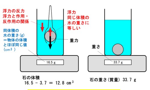 三棵针浆果作用与用法图片-三棵针浆果作用与用法网 - 网站提供三棵针果实小常识、三棵针浆果作用与用法视频