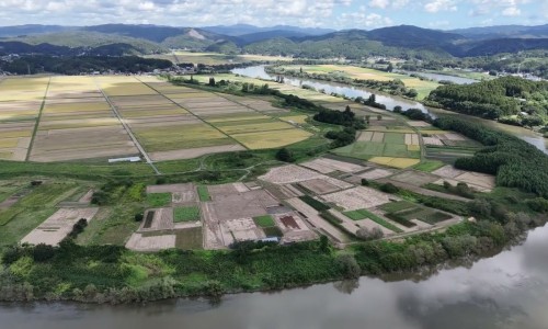 三棵针浆果作用与用法网 - 网站提供三棵针果实小常识、三棵针浆果作用与用法视频