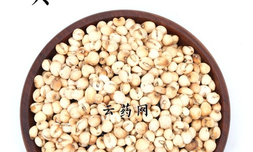 三棵针浆果作用与用法网 - 网站提供三棵针果实小常识、三棵针浆果作用与用法视频